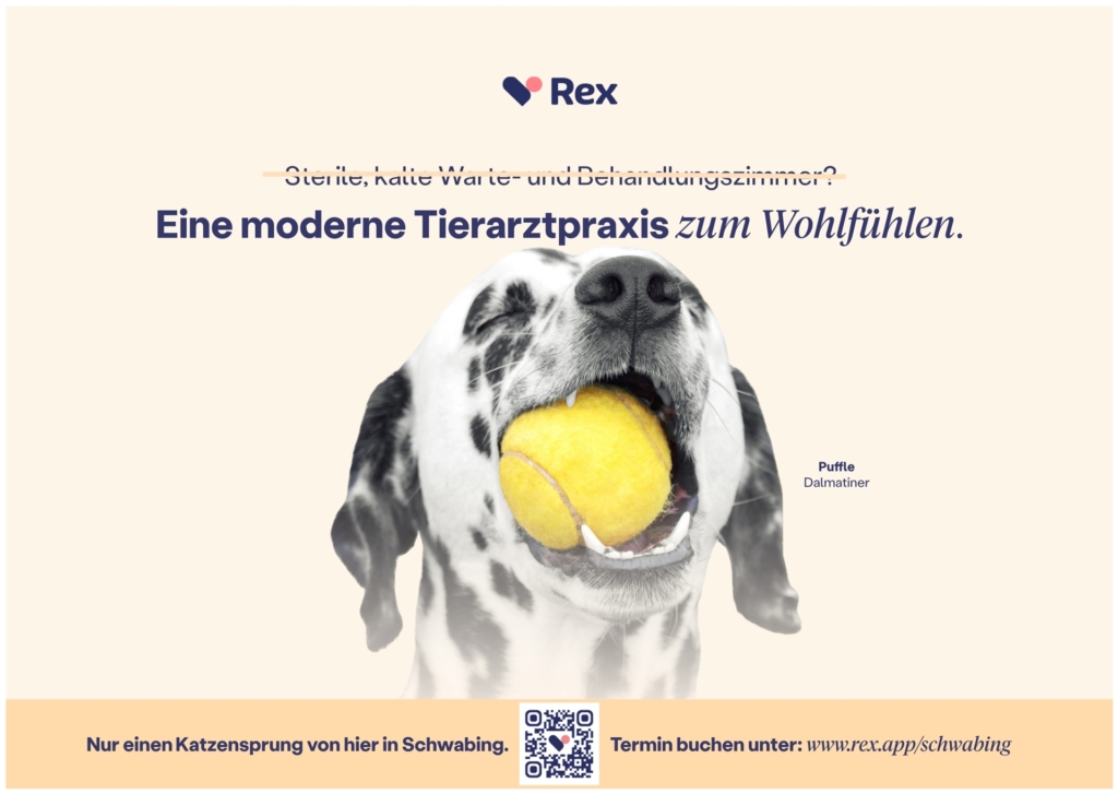 Kampagnen Bild